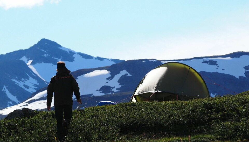 Mann på telttur i Børgefjell nasjon alpark.