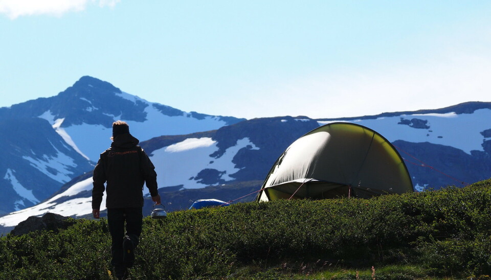 Langturer med telt er den beste måten å oppleve de indre og villeste delene av Børgefjell nasjonalpark. Mann på telttur i Børgefjell nasjon alpark.