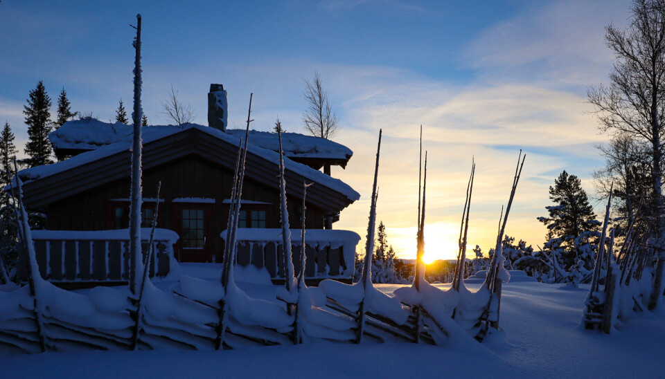 Gilså, hytte i Meråker. Vinter. Solnedgang. Inatur. Leie hytte.