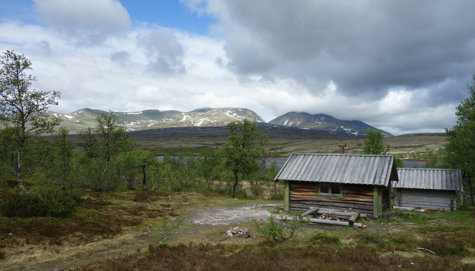 Sandbu i Rendalen. Åpen bu fra Statskog SF.