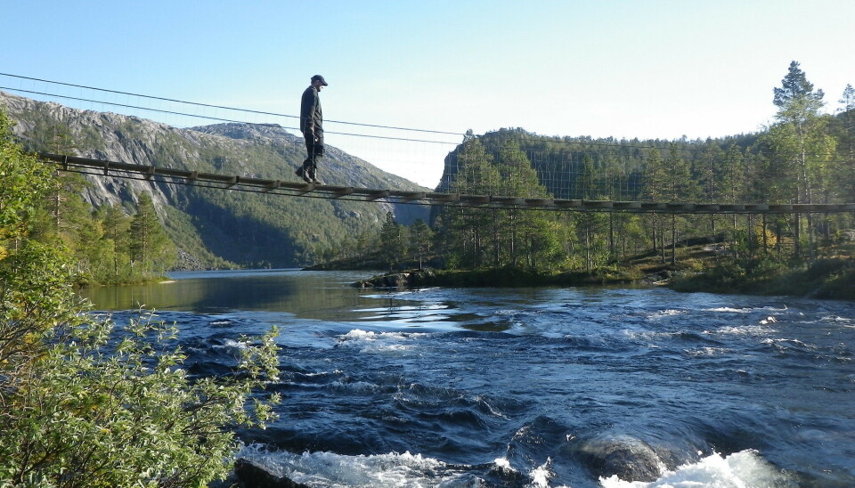 hengebro over elv i Rago nasjonalpark.