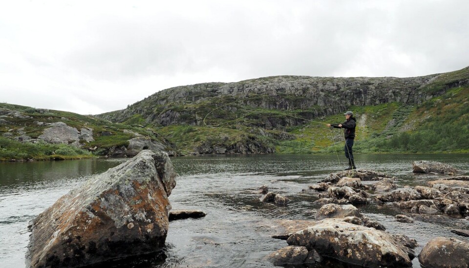 Fiske i Blerekelva i Nordland.