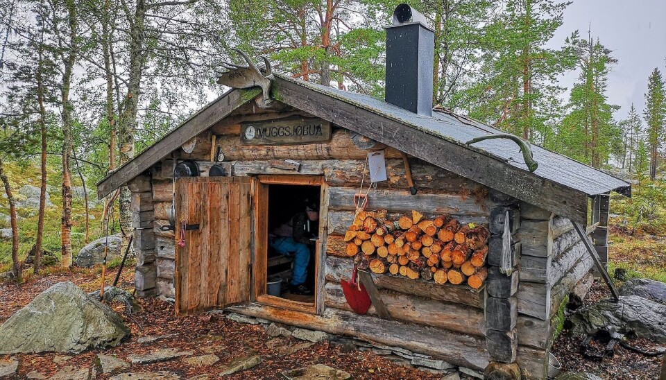 Muggsjøbua, en av mange åpne koier i Femundsmarka.