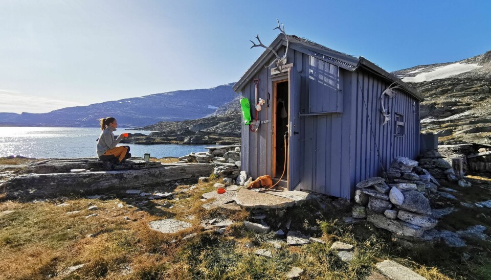 Storvassbue i Reinheimen nasjonalpark ligger langt fra folk og høyt til fjells, og et besøk hit glemmer du neppe. Merk at det er et godt stykke inn til hytta og fjellet kan være lunefullt. Storvassbu i Lesjafjellene.