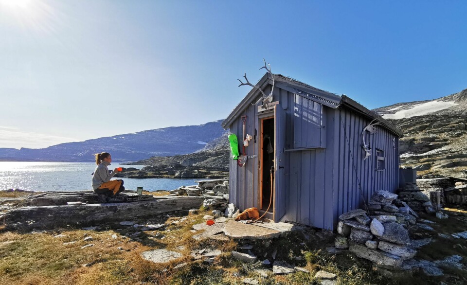 Storvassbue i Dovrefjell-Sunndalsfjella nasjonalpark ligger langt fra folk og høyt til fjells, og et besøk hit glemmer du neppe. Merk at det er et godt stykke inn til hytta og fjellet kan være lunefullt. Storvassbu i Lesjafjellene.