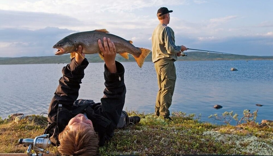 Skjerja på Geilo er et av Norges beste ørretvann.