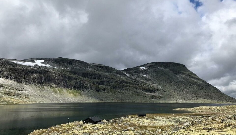 Salhøtjønn på høyfjellet i Dovrefjell. Hytta Salhøtjønnbue leies ut av Lesja fjellstyre.