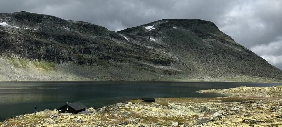 Salhøtjønn på høyfjellet i Dovrefjell. Hytta Salhøtjønnbue leies ut av Lesja fjellstyre.
