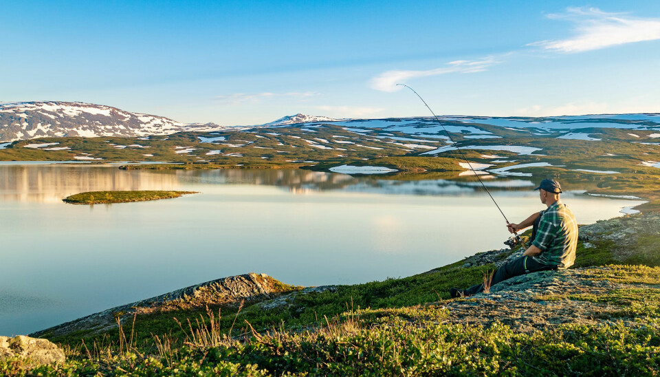Fisker ser ut over Stor-Rosnivatnet i Salten.