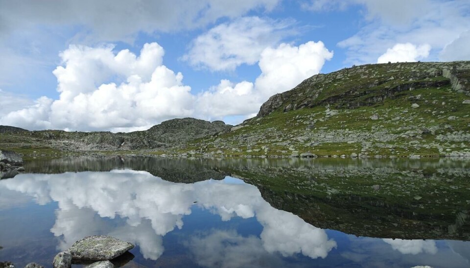 Urdevatn, et ørretvann på Hardangervidda ligger i godvær.