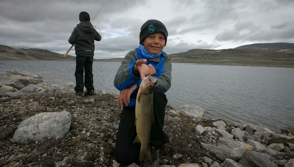 Storvatnet på 1495 moh. er et ypperlig ørretvann med flott fjellfisk, midt i Reinheimen nasjonalpark.