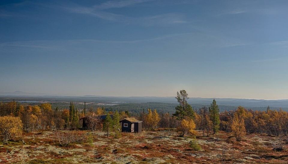 Hognsjøbekkbua, en fjellstyrehytte du kan leie i Femund-Engerdal.