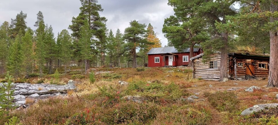10 hytter i Femund-Engerdal