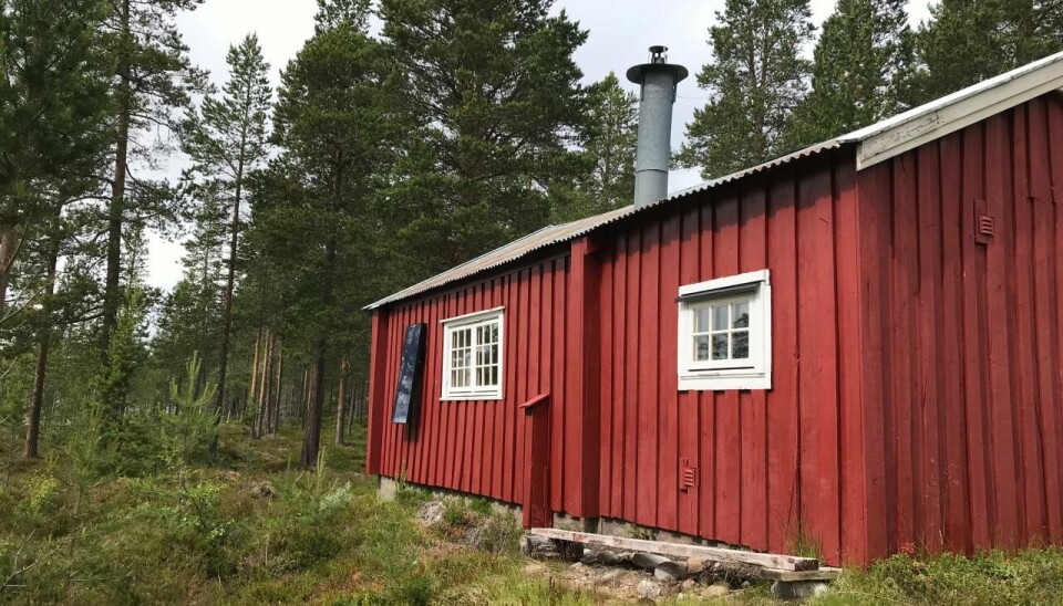 Tjønoddkoia i Engerdal