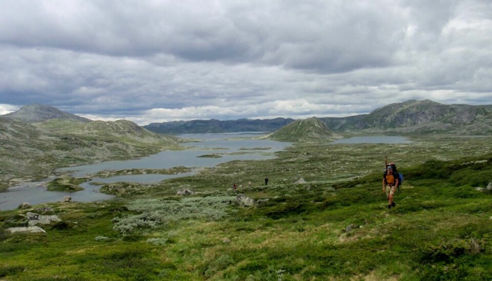 Fiskere på fottur i Hardangervidds endeløse landskap.