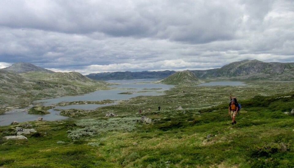 Fiskere på fottur i Hardangervidds endeløse landskap.