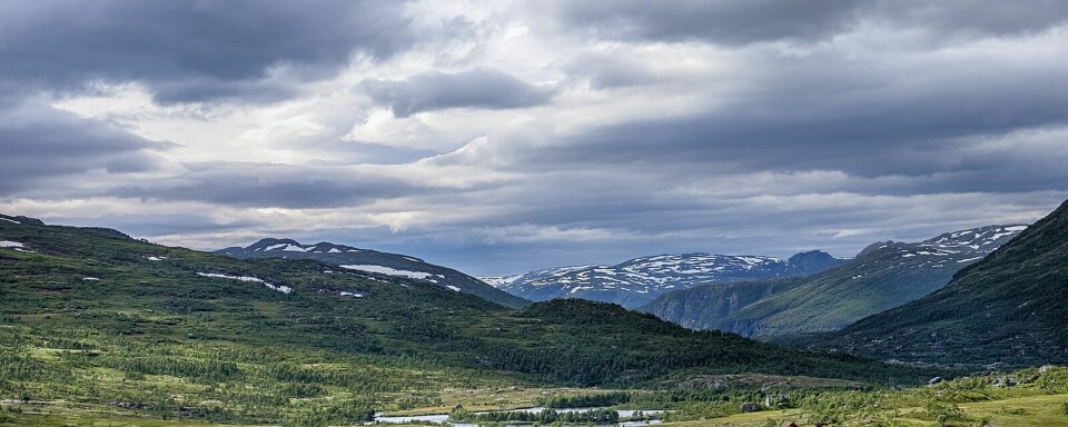 Hardangervidda er Nord-Europas største høyfjellsplatå.