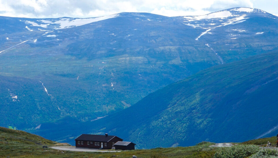 Aursjohytta og bua ved sidan er lett tilgjengeleg med bil og lèt deg starta turen på 1000 moh. Utsikten er også heilt ok.