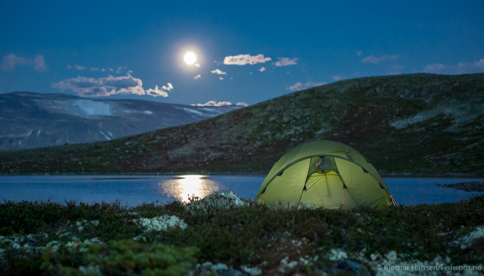 Ein fisketur med telt i Skjåk Almenning byr på fleire opplevingar enn berre fisket.