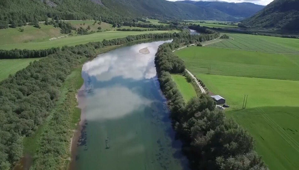 Selsmyrene (sone 5) i Gudbrandsdalslågen sett fra luften. Dronefoto.