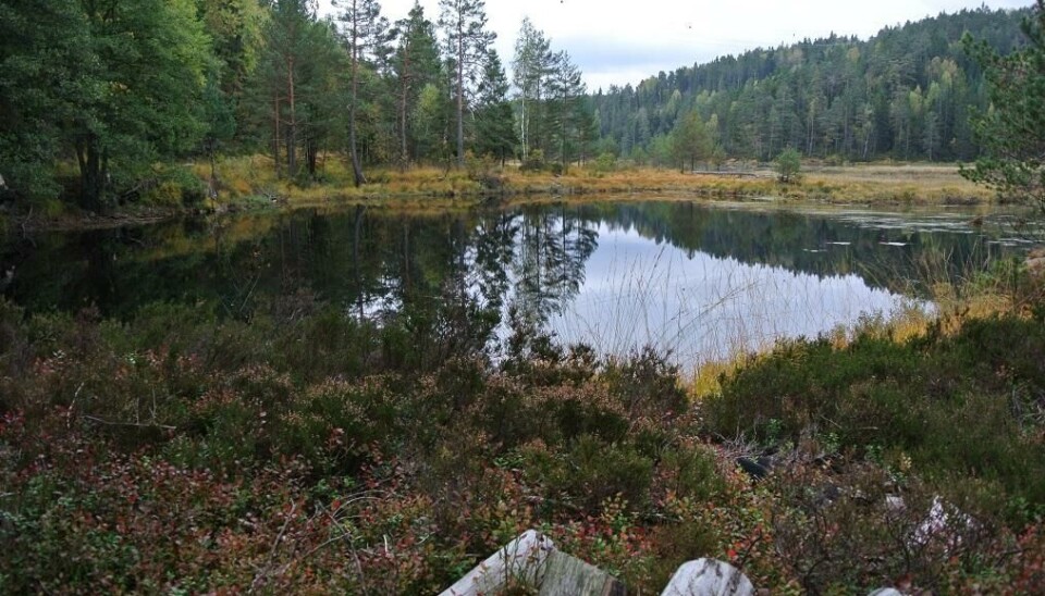 Skjerkavkassdraget ligger nær E18, men du kommer deg lett så langt inn i marka at du glemmer tungtrafikk, bobilturister og kø på et blunk.