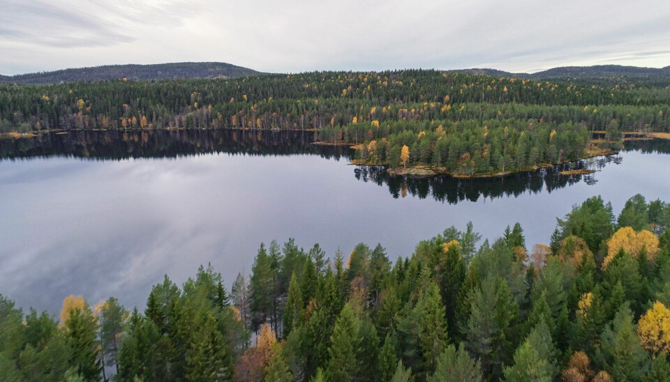Øyungen i Oslomarka, dronefoto.