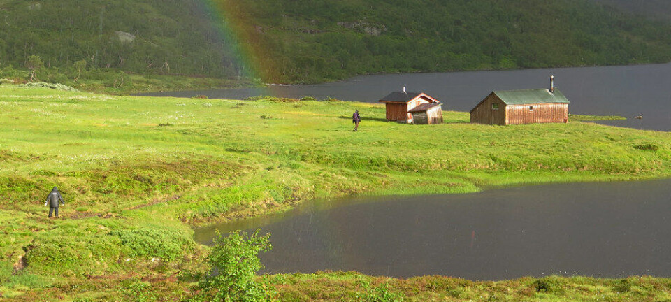 Se Statskogs hytter i Njardarheim Taumevassletta i Njardarheim.