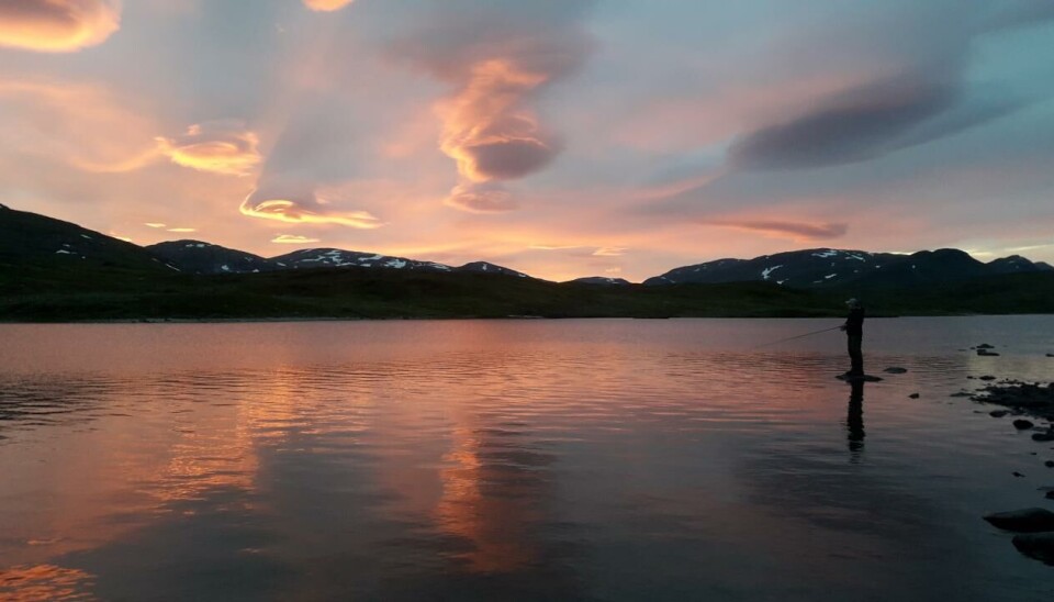 Dessverre tør vi ikke gi noen værgaranti, men hvis du opplever kvelder som dette kan vi garantere at du ikke glemmer dem så lett. Børgefjell kan også by på uforglemmelig drittvær, så skal du inn hit på ekspedisjon må du være forberedt på alle eventualiteter.