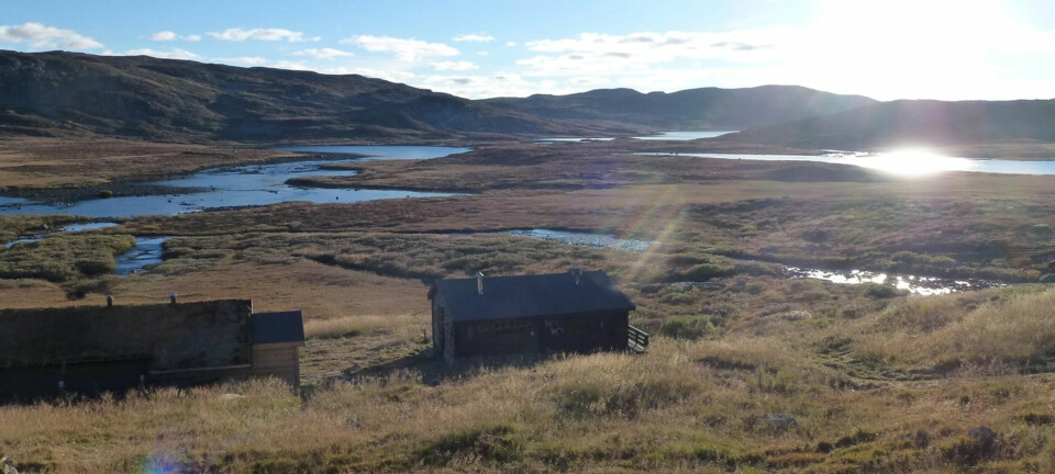 Utsikt over elv på Hardangervidda.