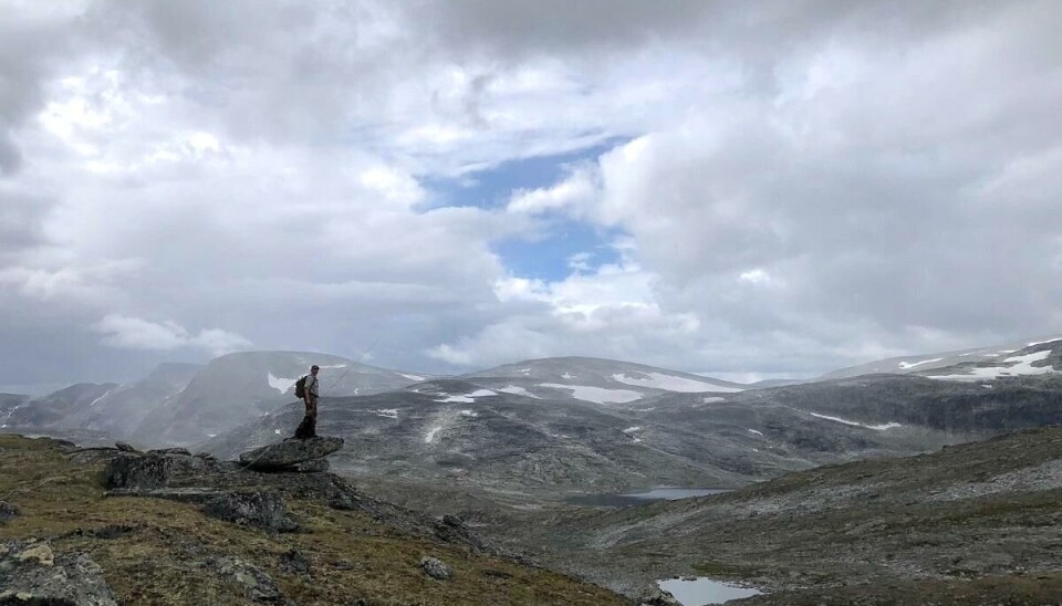 Dovrefjell–Sundalsfjella nasjonalpark har flusst av topper over 2000 meter, mange gode fiskevann, urørt natur og en rekke spennende hytter du kan leie.