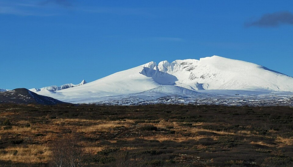 Snøhetta sett fra øst.