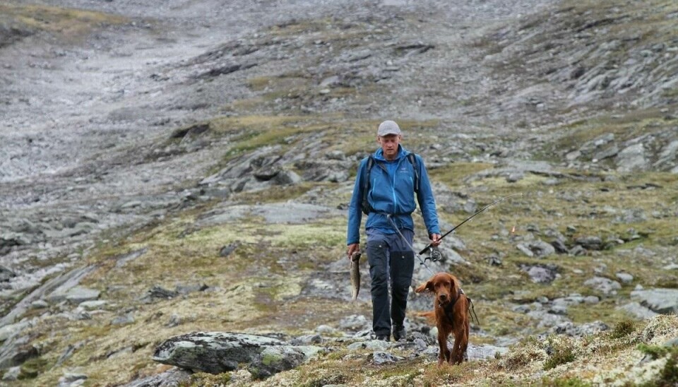 Ørretfangst i Dovrefjell. Mann med hund.