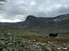 Langvatnet og Langvatnbue i Dovrefjell-Sunndalsfjella, Lesja allmenning.