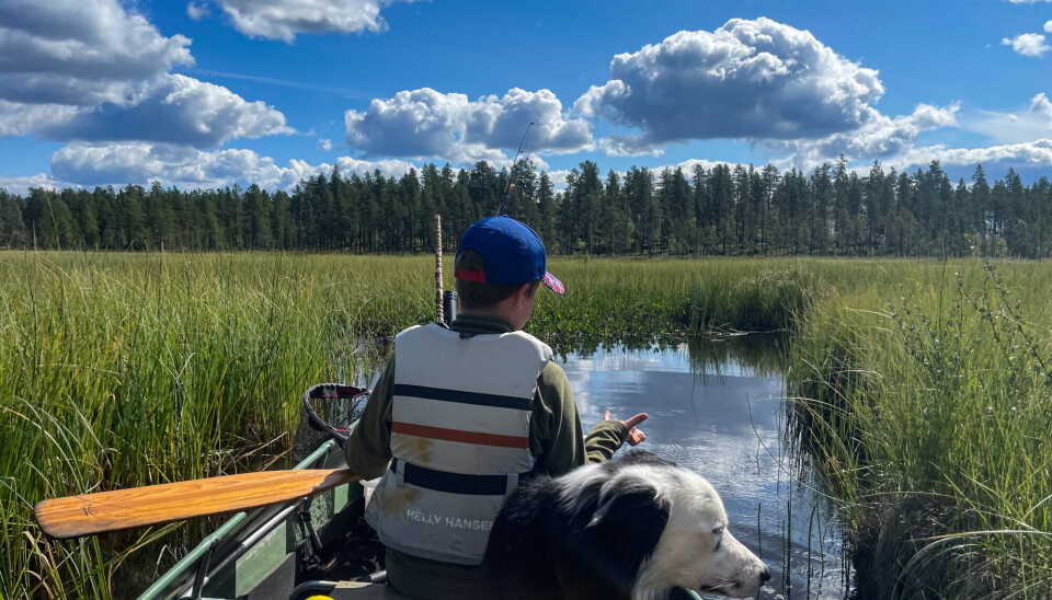 Padletur i Jyltingsmarka, Engerdal.