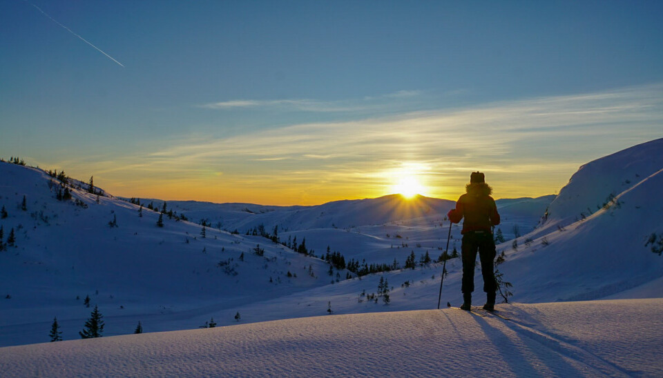 Skitur i vinterlandskap. Lav sol.