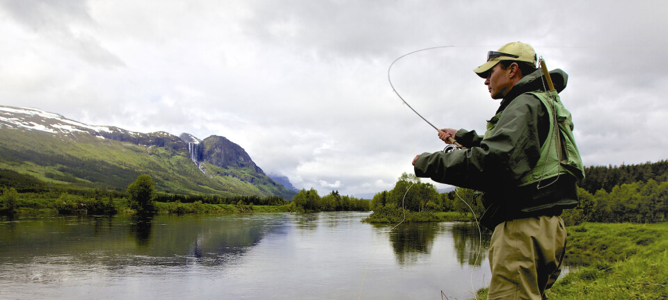 De guider deg til ørreten