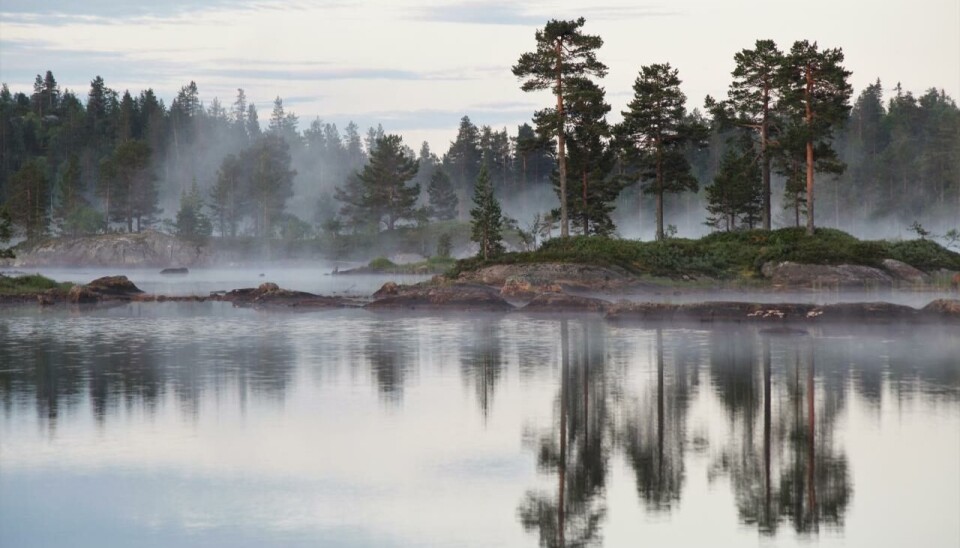 I Birtedalen venter godt ørretfiske og flotte naturopplevelser.