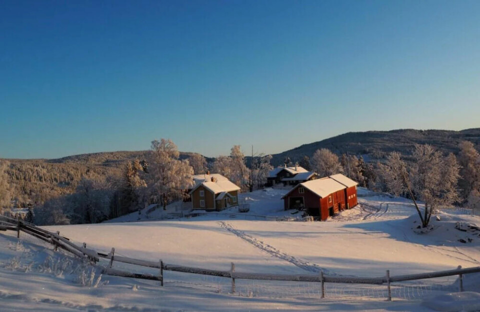 Bryggerhuset på Fjeld gård er en fredelig plass med fin utsikt, omgitt av skiløyper i flott kulturlandskap og skog. Herligheten finner du bare tre kvarter fra Oslo.