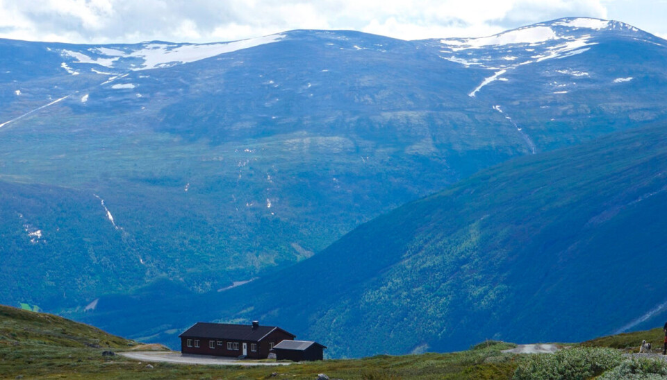 Fra Aursjohytta har du fantastisk utsikt mot Breheimen nasjonalpark som ligger på sørsiden av dalen.