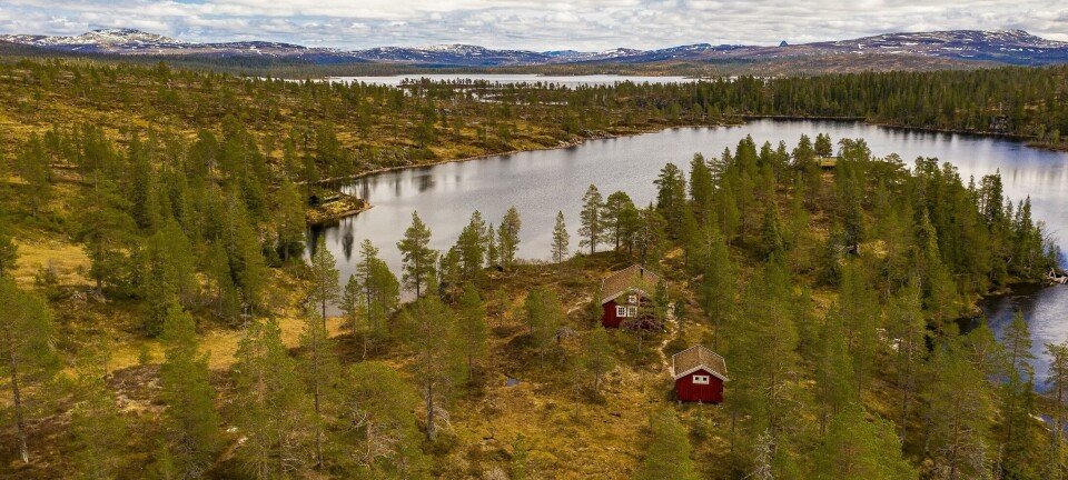 Hytter i Snåsas villmark