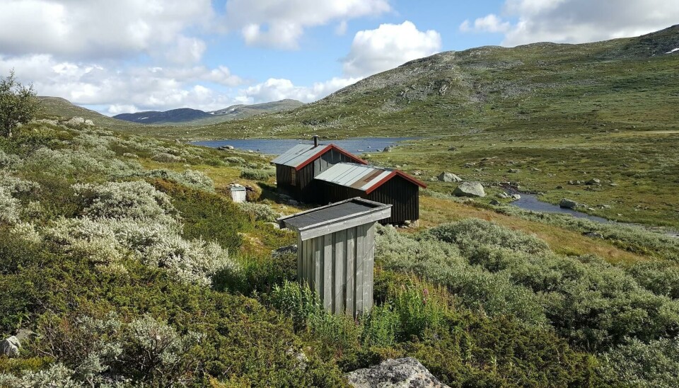 Unn deg en sommerferie utenom det vanlige.