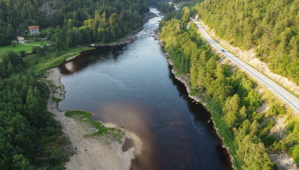 Mandalselva, Øvre Holum sone 2.