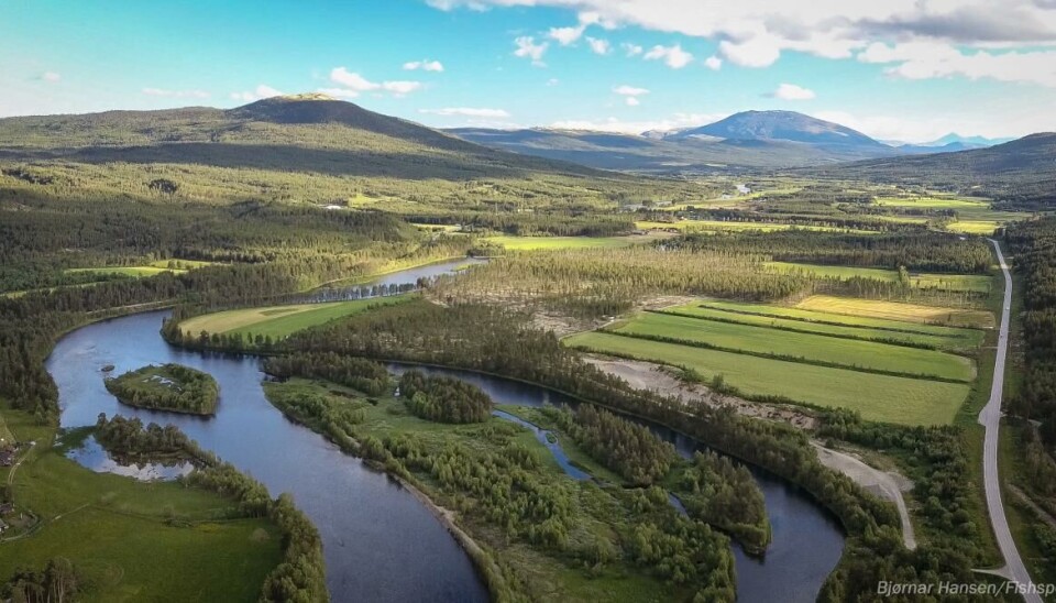 Kvennan Fly Fishing. Kanaler og sideløp. Dronefoto.