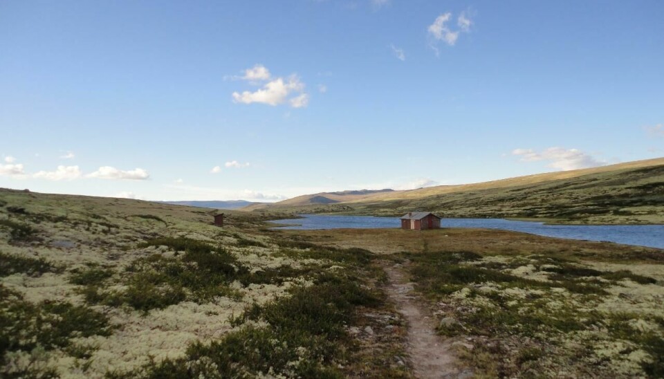 Hytta ligger fint til ved Langtjønn i Rondane nasjonalpark.