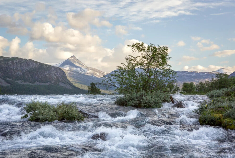 Skjåk har 250 kilometer rennande vatn du kan freista lykka i. Området har store variasjonar frå stad til stad, og årstid til årstid. Det einaste du kan vera sikker på er at naturen kan slå pusten frå deg. Du kan starta aurefisket i slutten av april i Ottaelva.