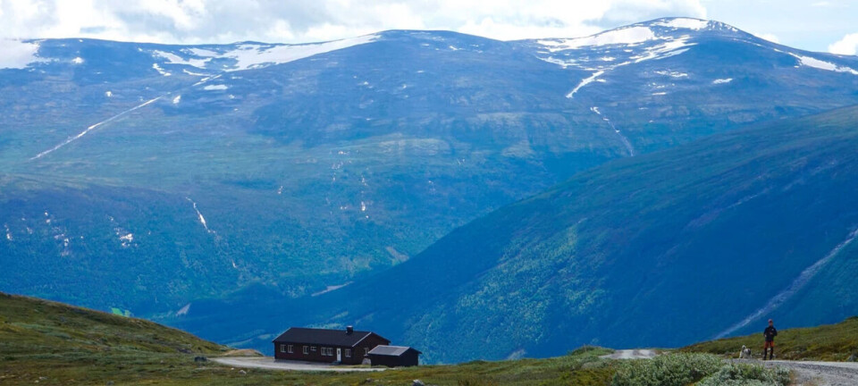 Aursjohytta og bua ved sidan er lett tilgjengeleg med bil og lèt deg starta turen på 1000 moh. Utsikten er også heilt ok.