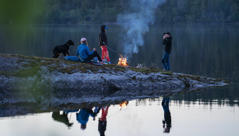 Det er lett å kose seg ved innsjøen Grønningen på Snåsa. Helt gratis er det også.