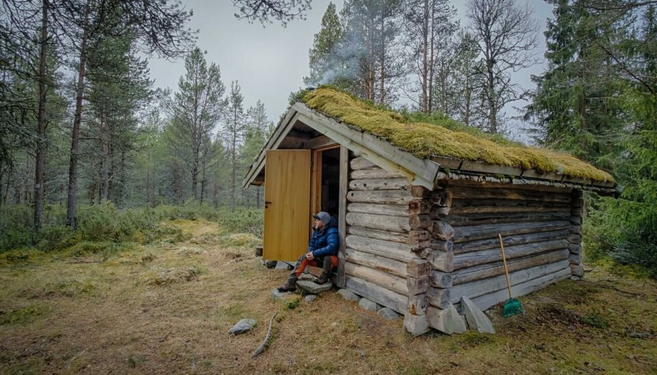 Kommunebua i Gammeldalen på Tynset, en utleiehytte på Inatur.