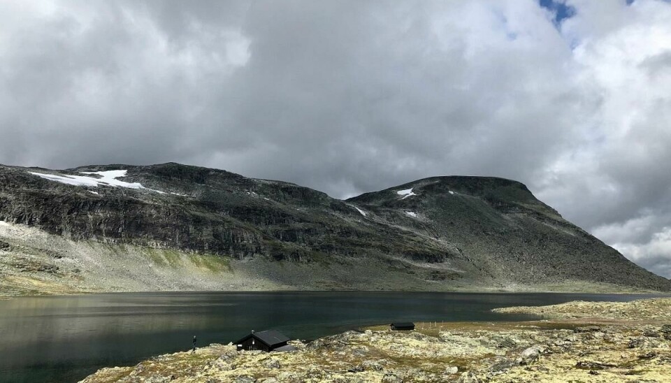 Bua ved Søre Salhøtjønn i Dovrefjell er en unik hytte midt i det beste Norge har å by på av fjellnatur.