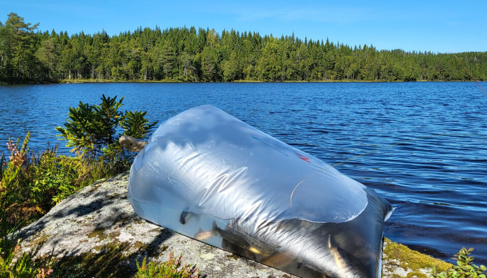 Fiskeutsett i Oslomarka.